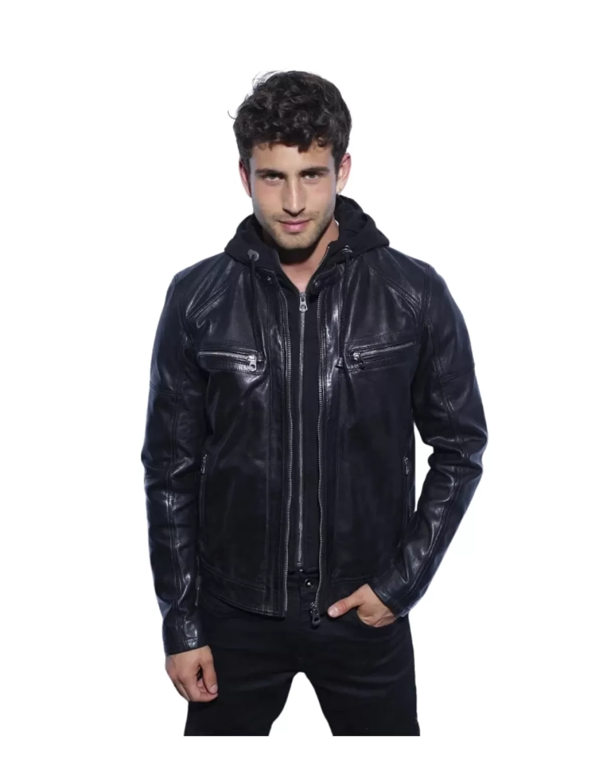 Daytona Blouson Cuir Homme<Blouson en cuir homme Ref 50362 Noir