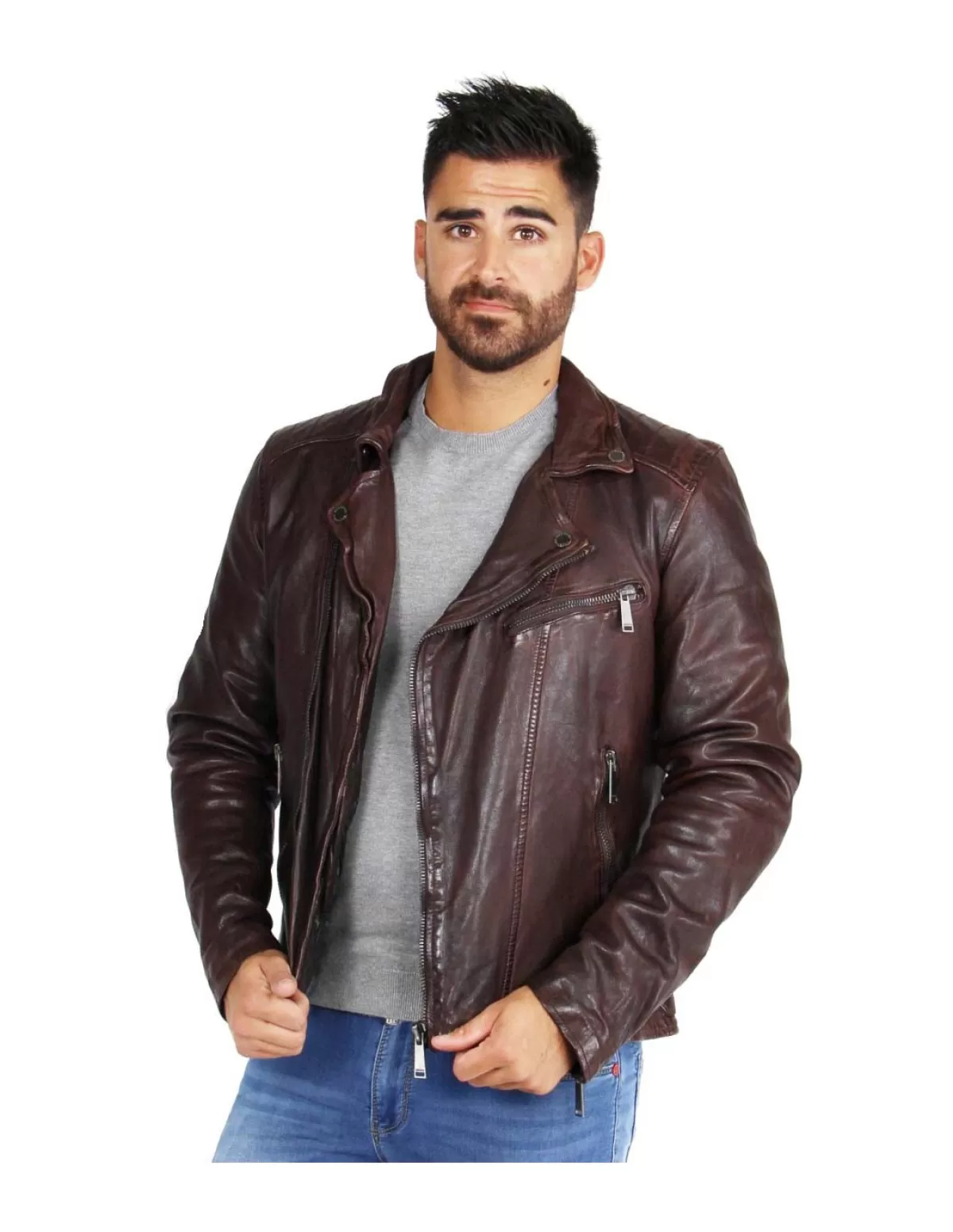 Redskins Style Perfecto Homme<Blouson Scotty Wonder ref 46835 Reddish Brown Marron